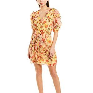 Size 6 Walter Baker Dress